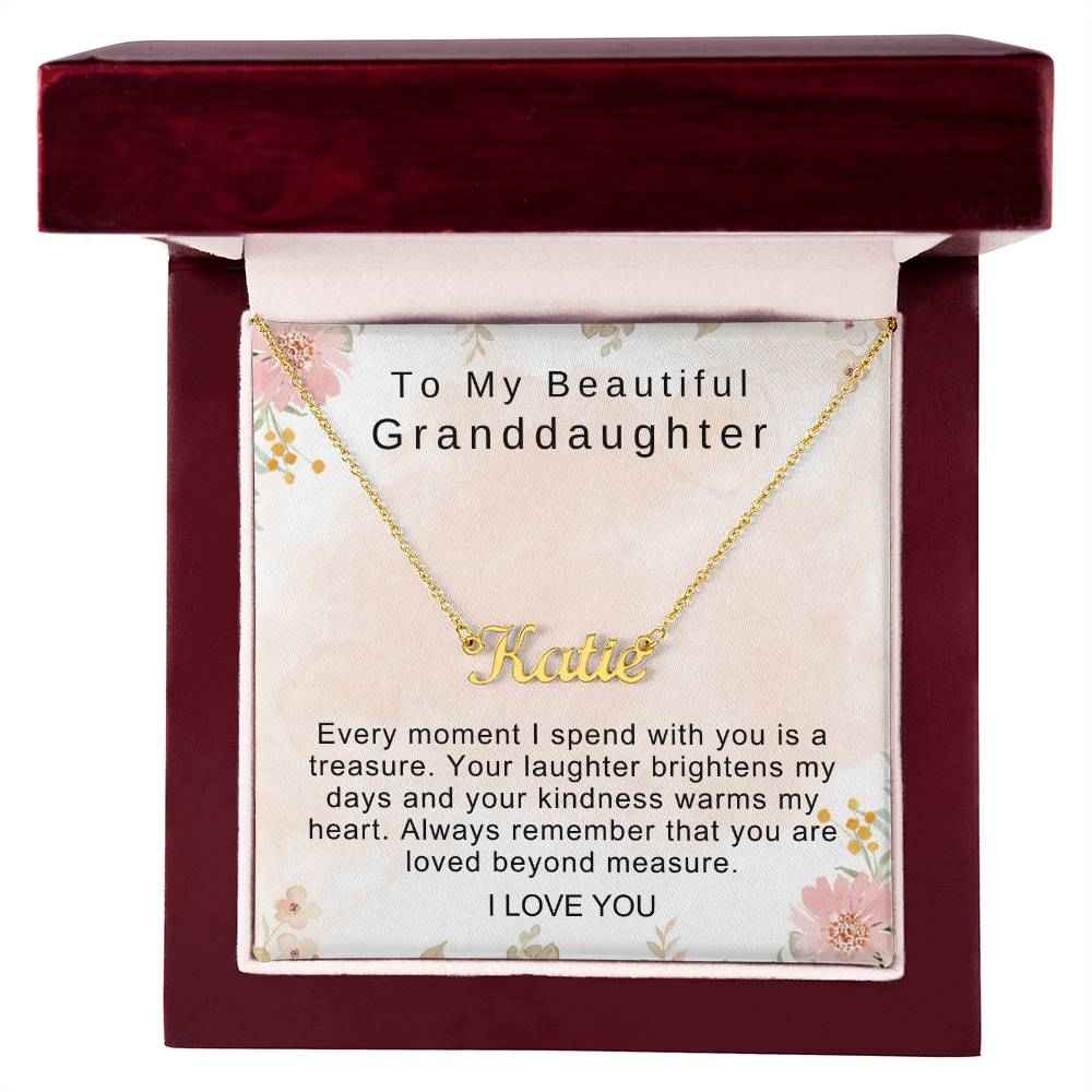 To My Beautiful Granddaughter Every moment I spend with you is a treasure Personalized Name Necklace