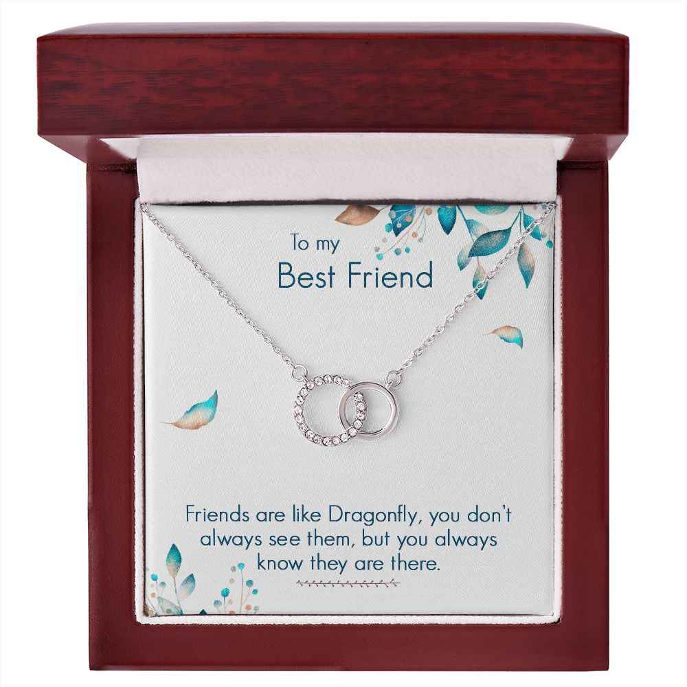 To My Best Friend- Friends are like dragonfly Perfect Pair Necklace