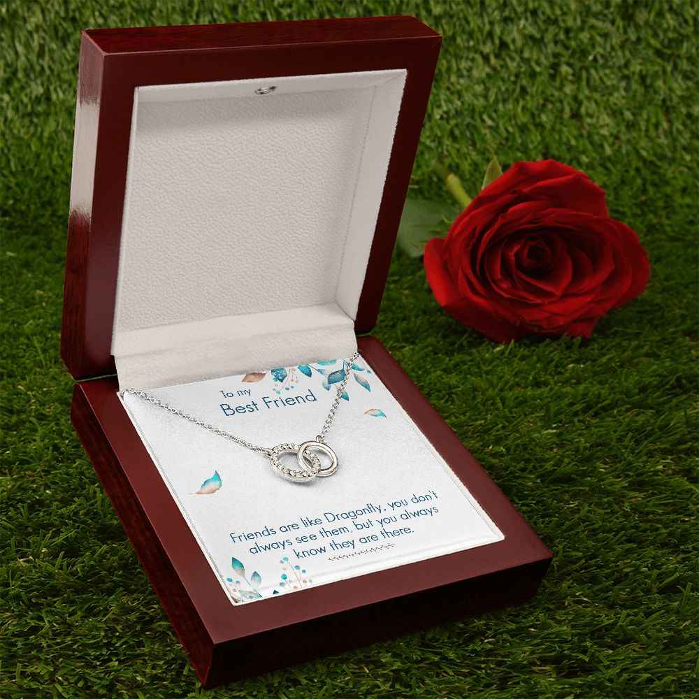 To My Best Friend- Friends are like dragonfly Perfect Pair Necklace
