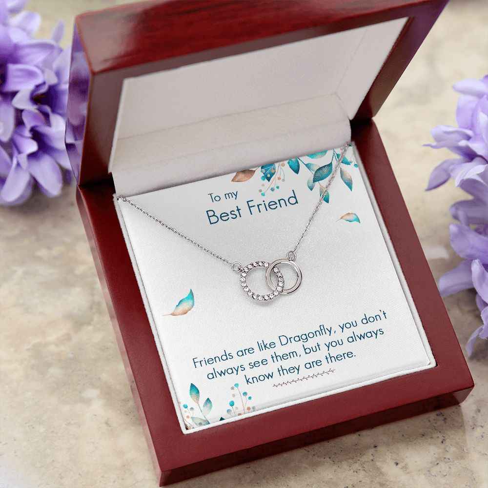 To My Best Friend- Friends are like dragonfly Perfect Pair Necklace