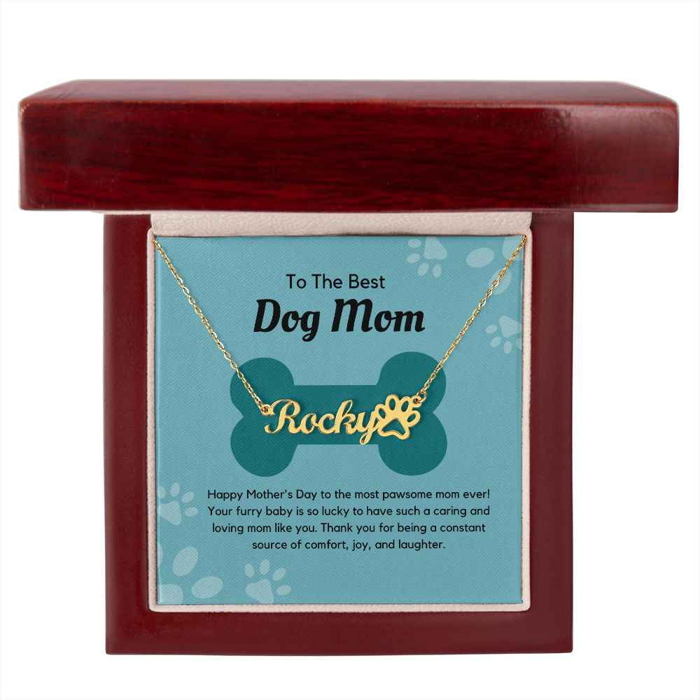 To The Best Dog Mom - Happy Mother's Day to the most pawsome mom ever! Paw Print Name Necklace