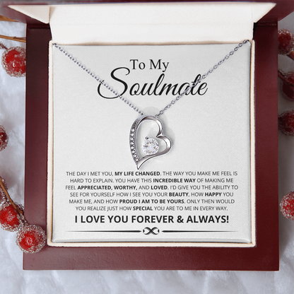 To My Soulmate, The Day I Met You My Life Changed Forever Love Necklace