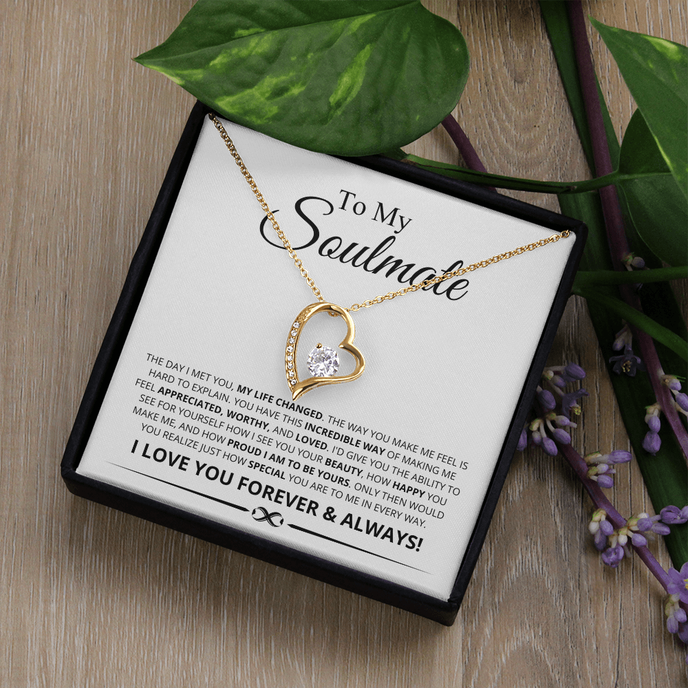 To My Soulmate, The Day I Met You My Life Changed Forever Love Necklace